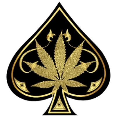 Ace Ultra Premium USA